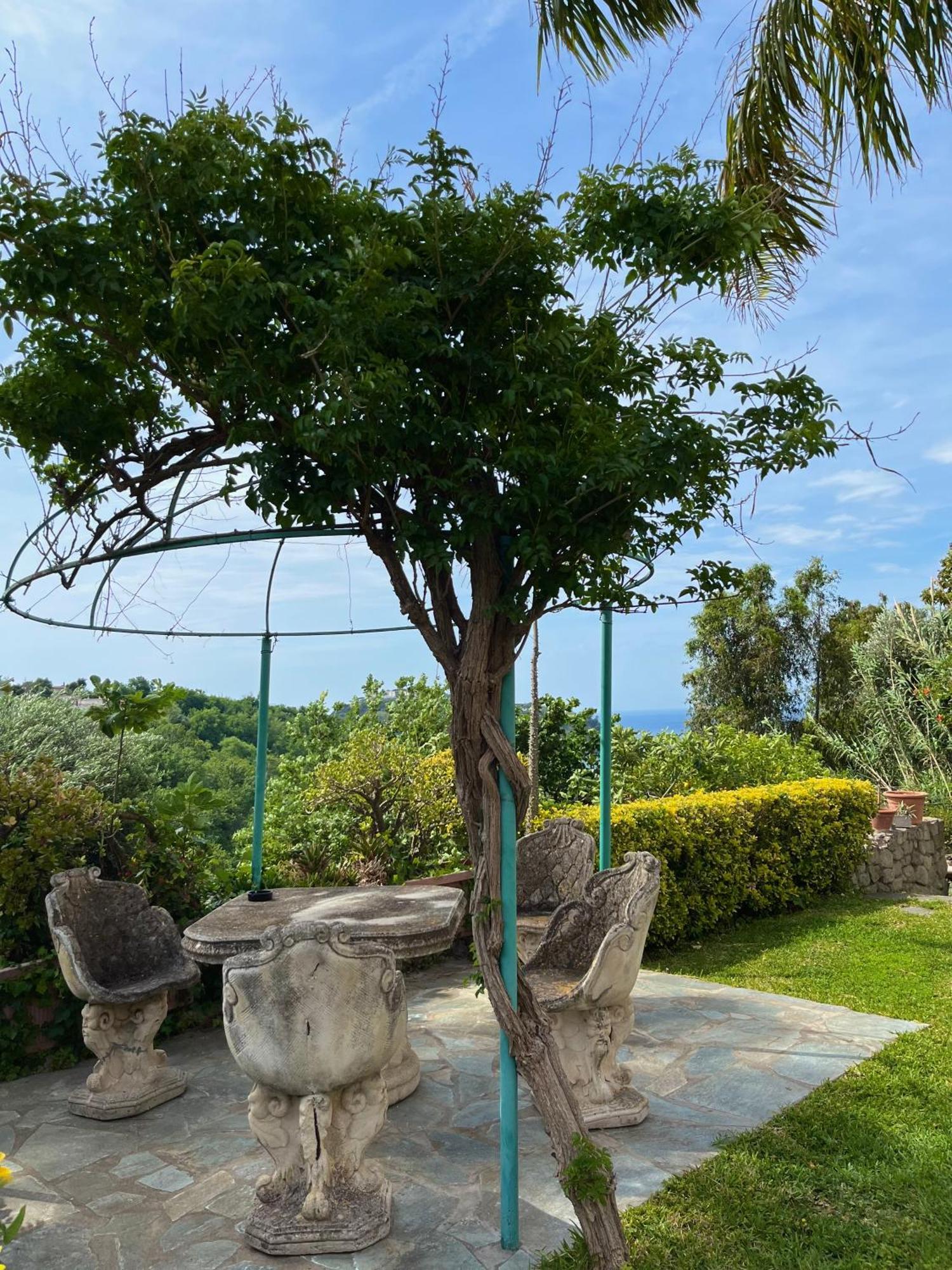 Flavio 3* Casamicciola Terme