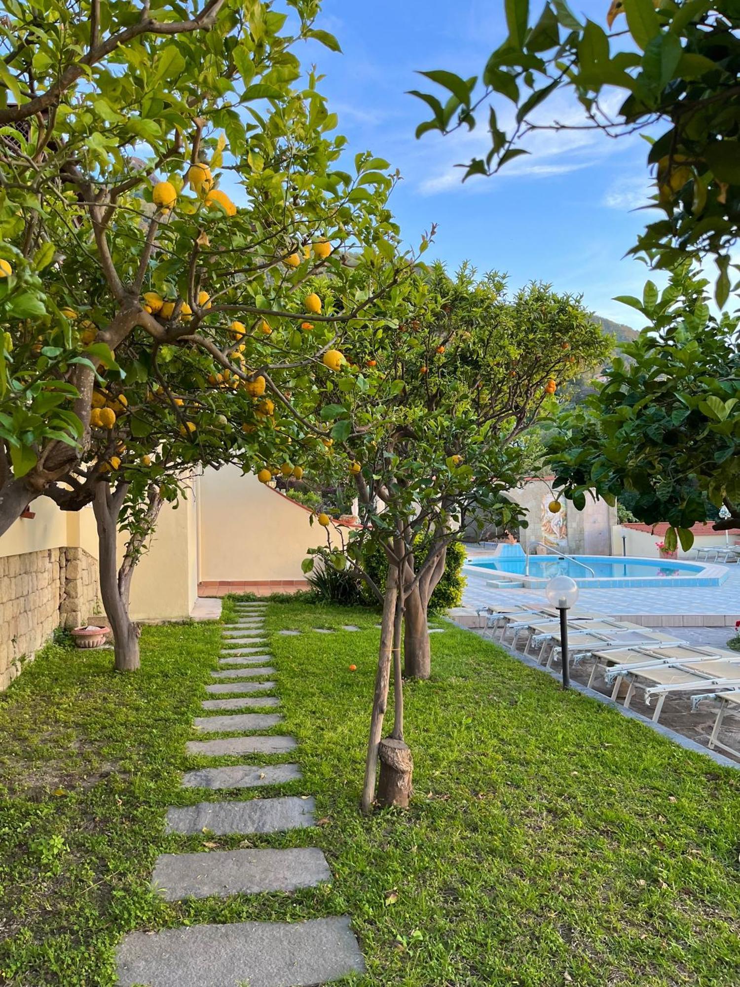 Hotel Flavio 3*