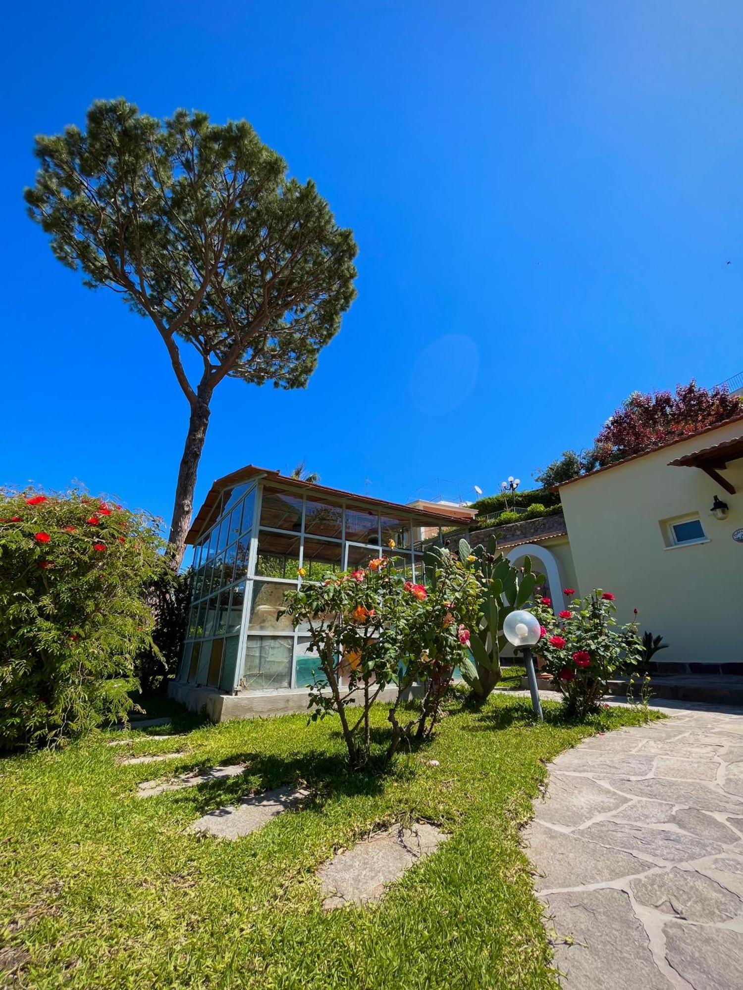 Flavio Hotel Casamicciola Terme