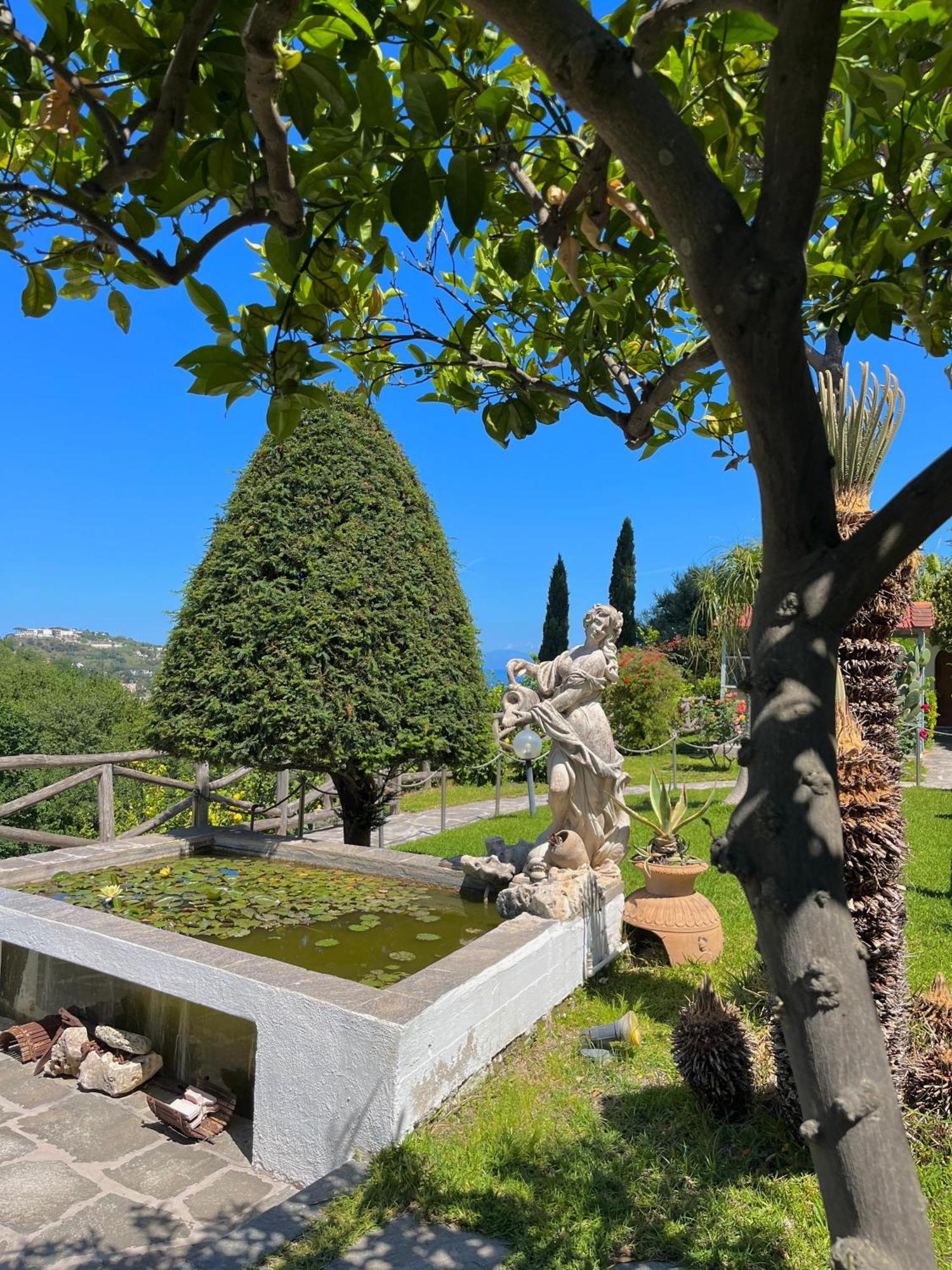 Hotel Flavio Casamicciola Terme