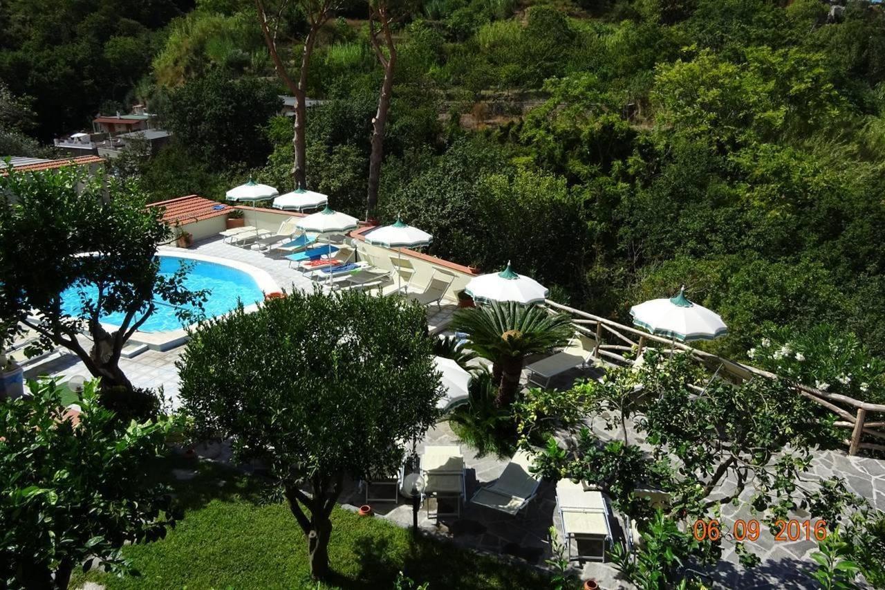 Flavio Hotel